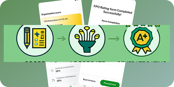 Step-by-step illustration: scoring indicators, aggregating theme scores, and producing a final A+ rating.